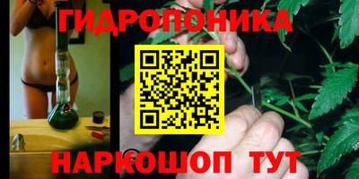 индика Волгодонск