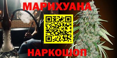 индика Волгодонск