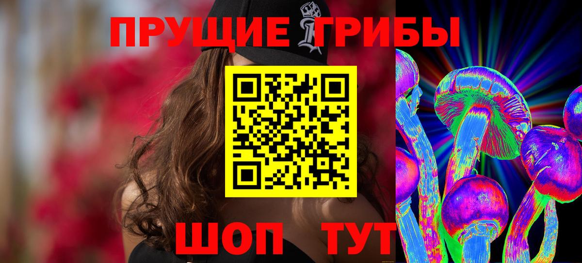 Псилоцибиновые грибы GOLDEN TEACHER  Вход с VPN  купить наркоту  Гудермес 